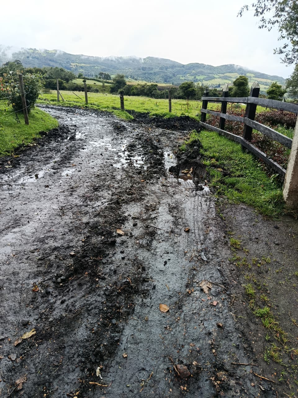 Vía rural registrada en campo